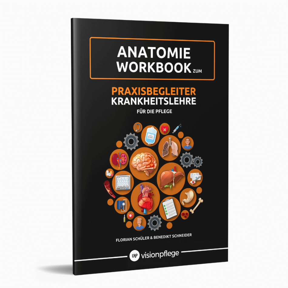 Visionpflege Ausbildungsbundle