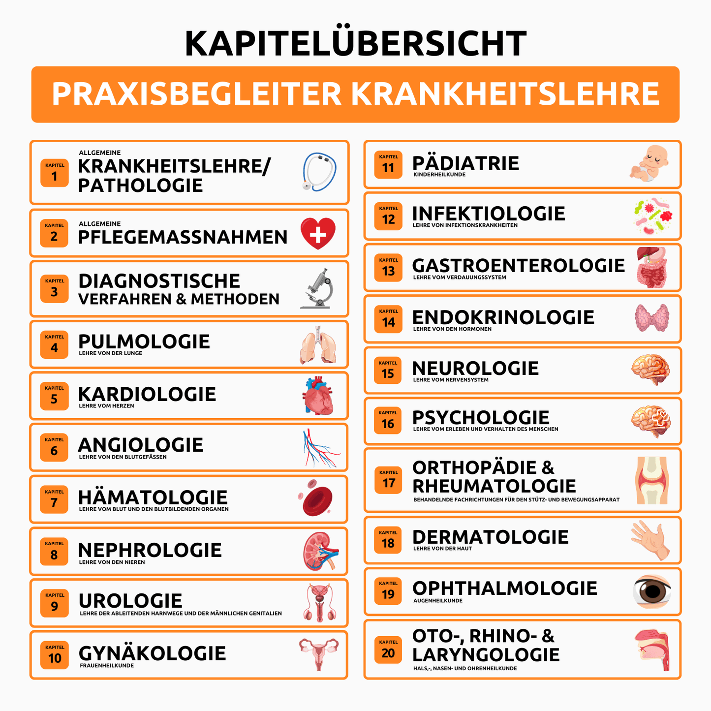 Praxisbegleiter Krankheitslehre