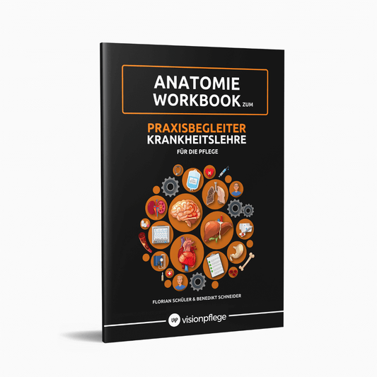 Anatomie Workbook