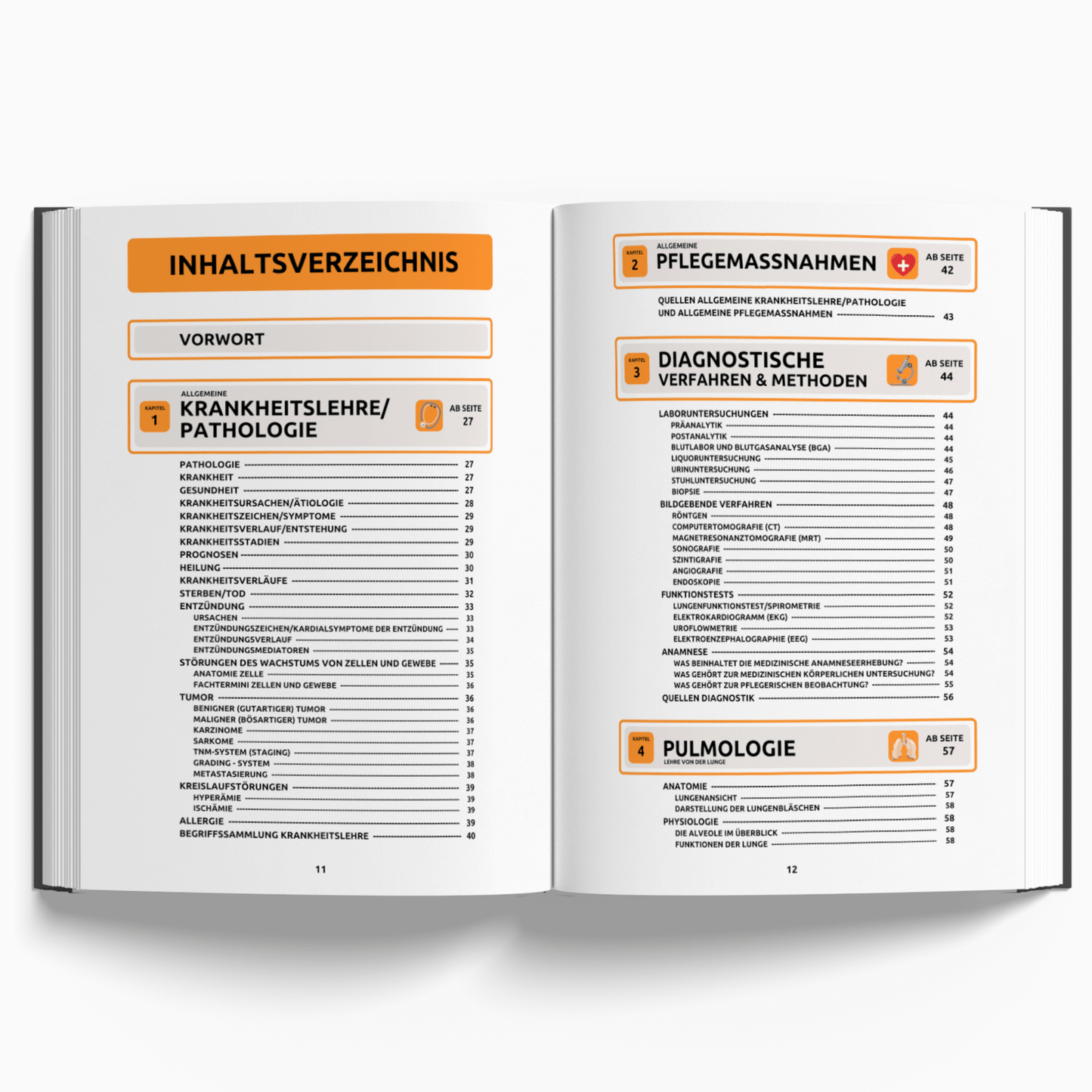 Praxisbegleiter Krankheitslehre