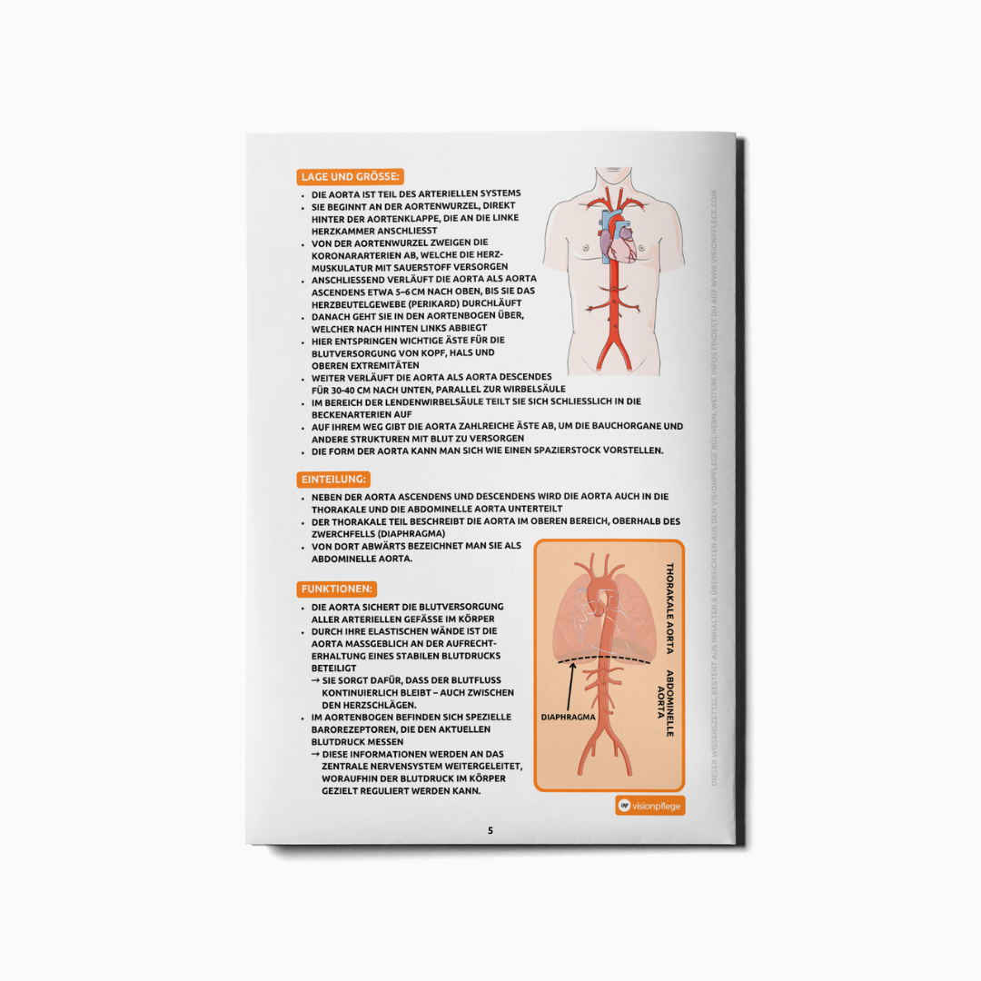 Lernzettel - Aortenmedizin