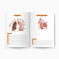 Anatomie Workbook