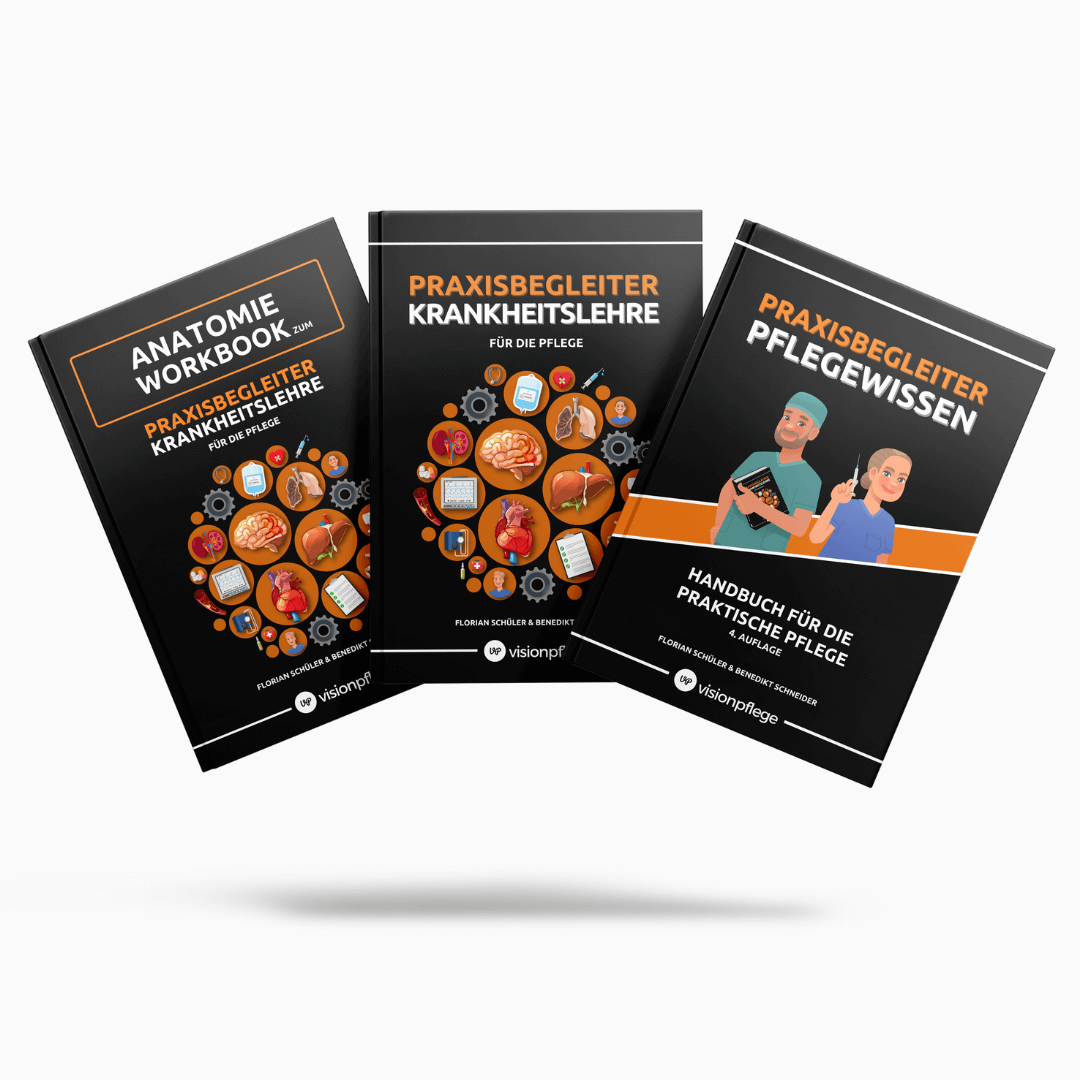 Visionpflege Ausbildungsbundle