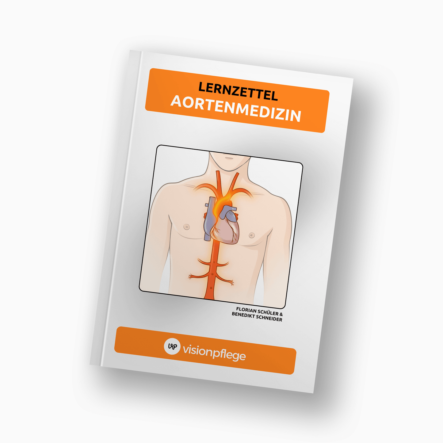 Lernzettel - Aortenmedizin