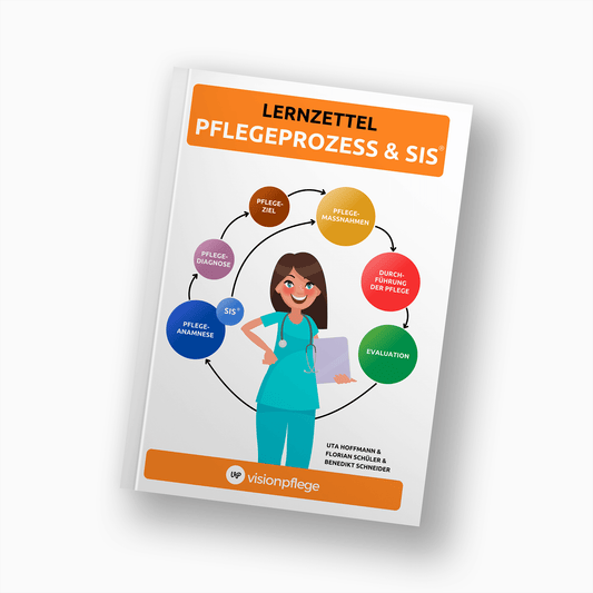 Lernzettel - Pflegeprozess & SIS®